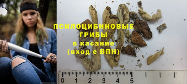 apvp Балабаново