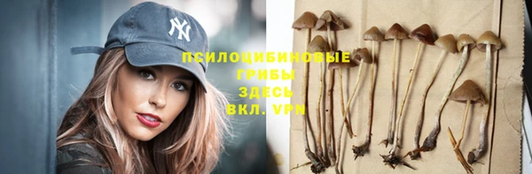 Альфа ПВП Баксан