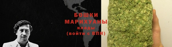 шишки Балахна