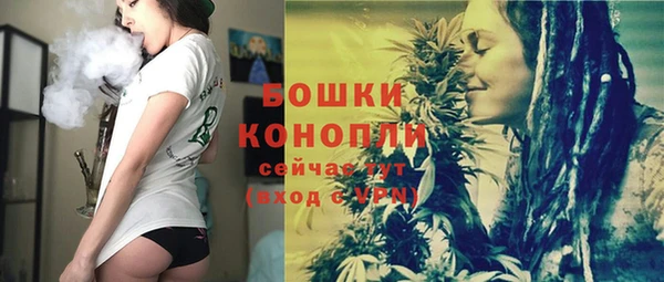 шишки Балахна