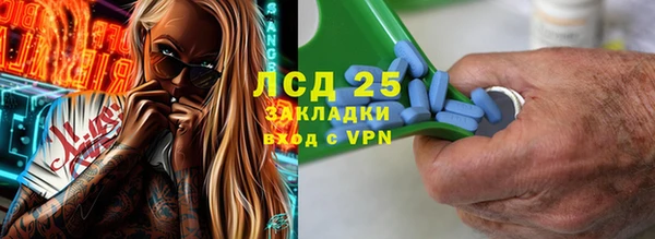 шишки Балахна